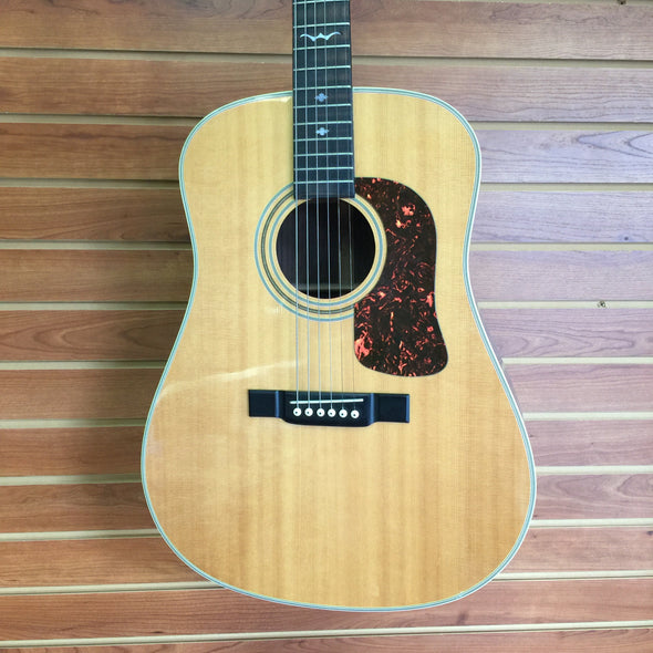 Washburn Acoustic Guitar D-21 -  - State Street Jewelry and Loan